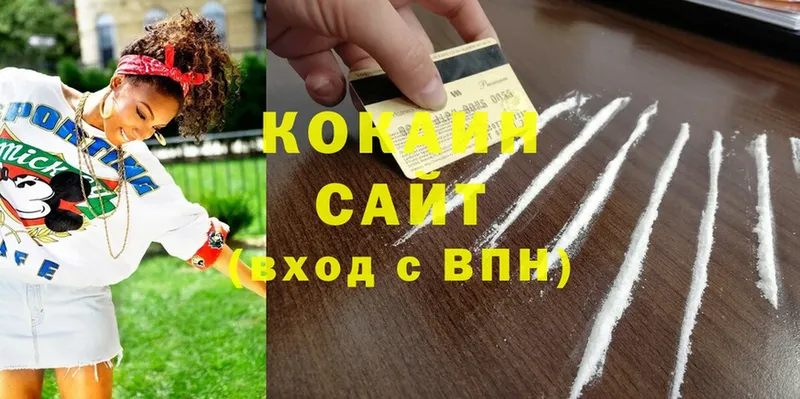 где найти   Камешково  COCAIN 99% 